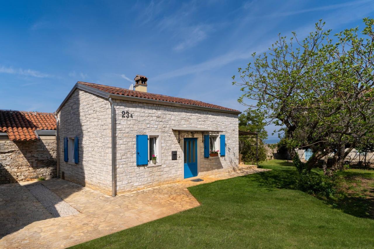 Villa Daulos Novigrad  Exterior photo
