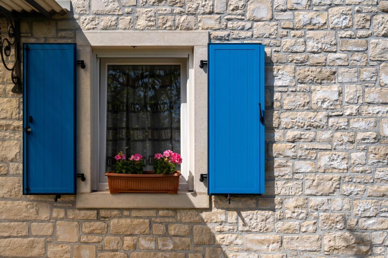 Villa Daulos Novigrad  Exterior photo