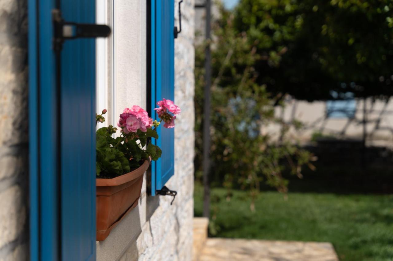 Villa Daulos Novigrad  Exterior photo