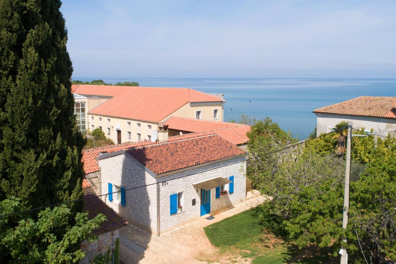 Villa Daulos Novigrad  Exterior photo